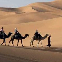 Camel ride