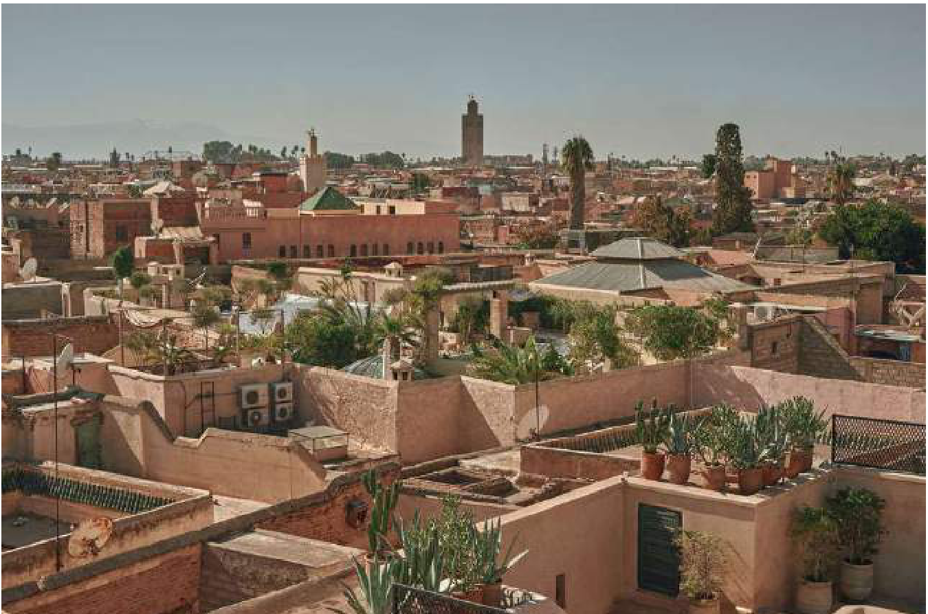 Rooftop view over the Marrakech medina